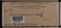 Image Associated With the Occurence